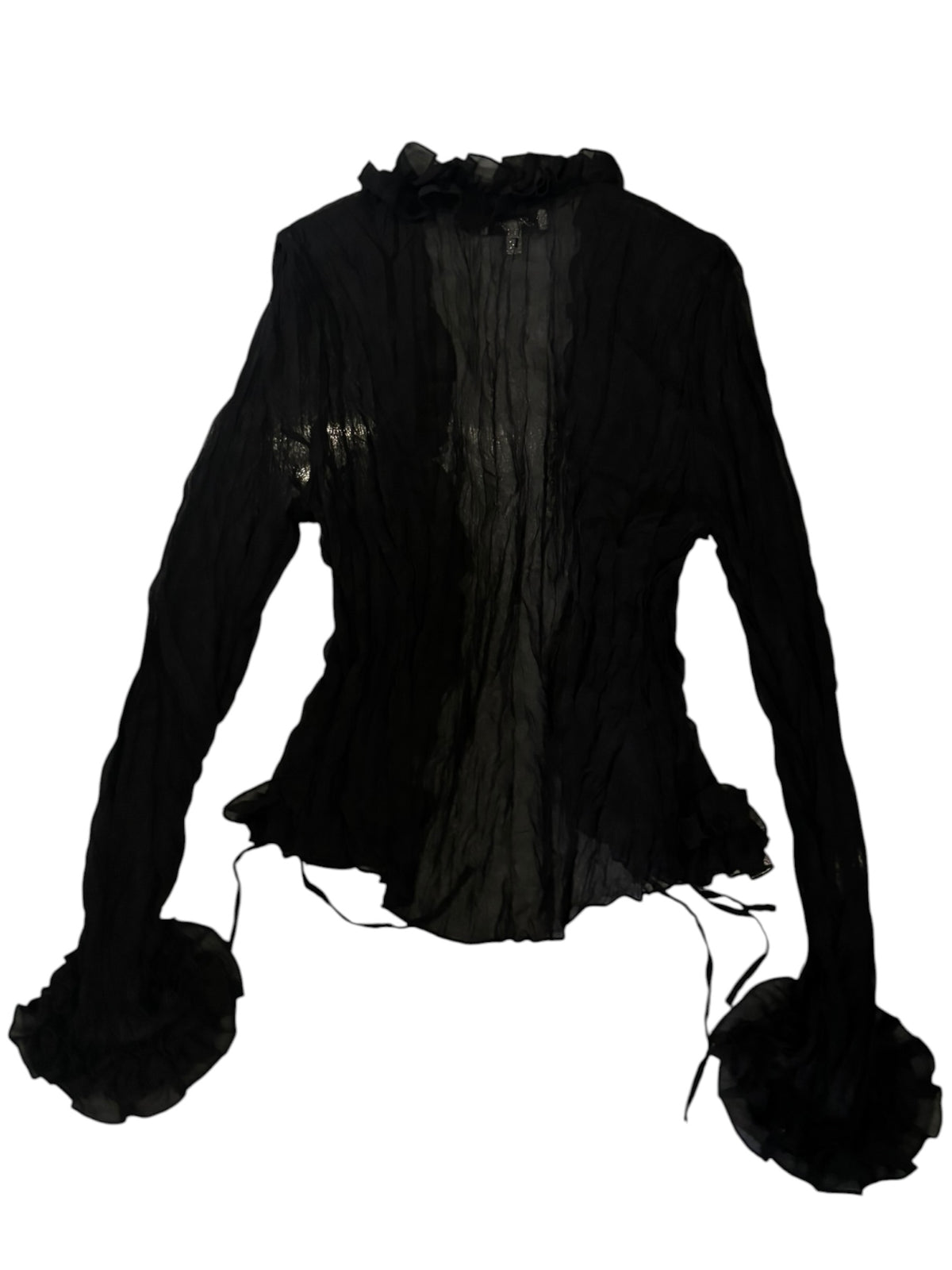Sheer Ruffle Pleated Blouse