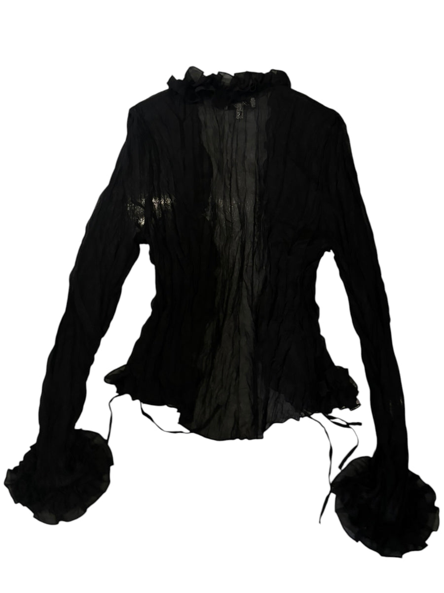 Sheer Ruffle Pleated Blouse
