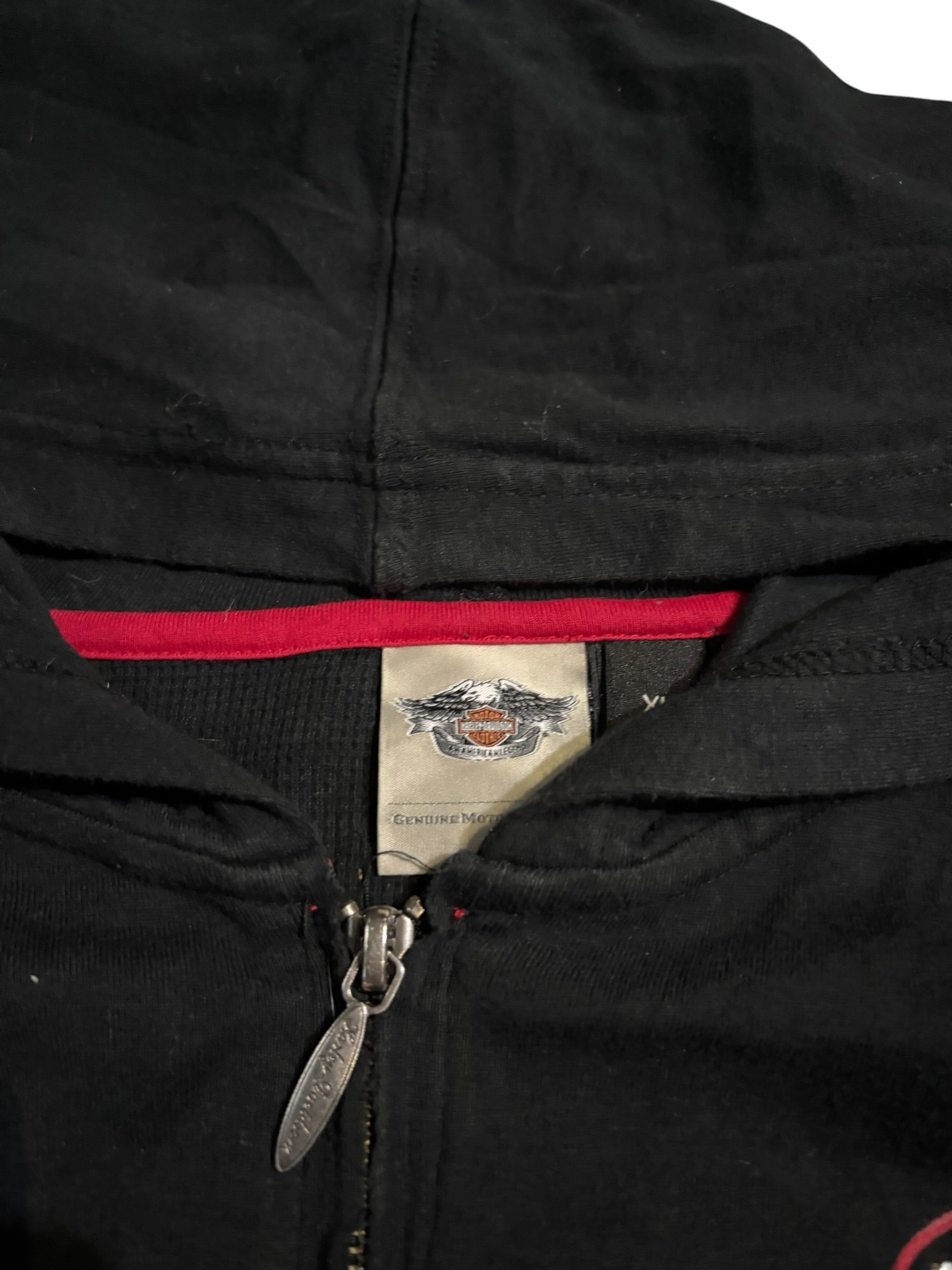 Wing Graphic Zip Hoodie